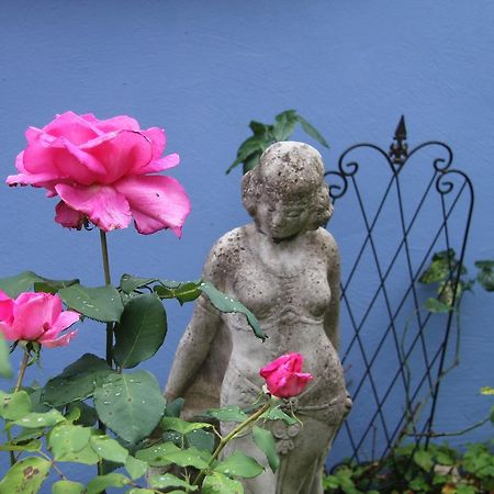 No.31 B&B Im Rosengarten Kapellen-Drusweiler Exteriör bild