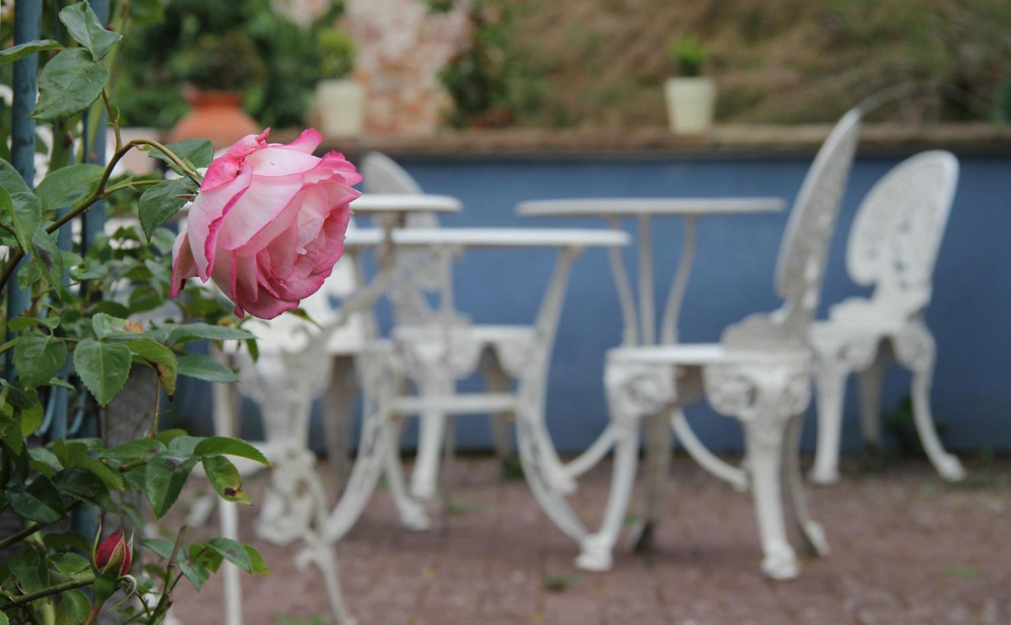 No.31 B&B Im Rosengarten Kapellen-Drusweiler Exteriör bild