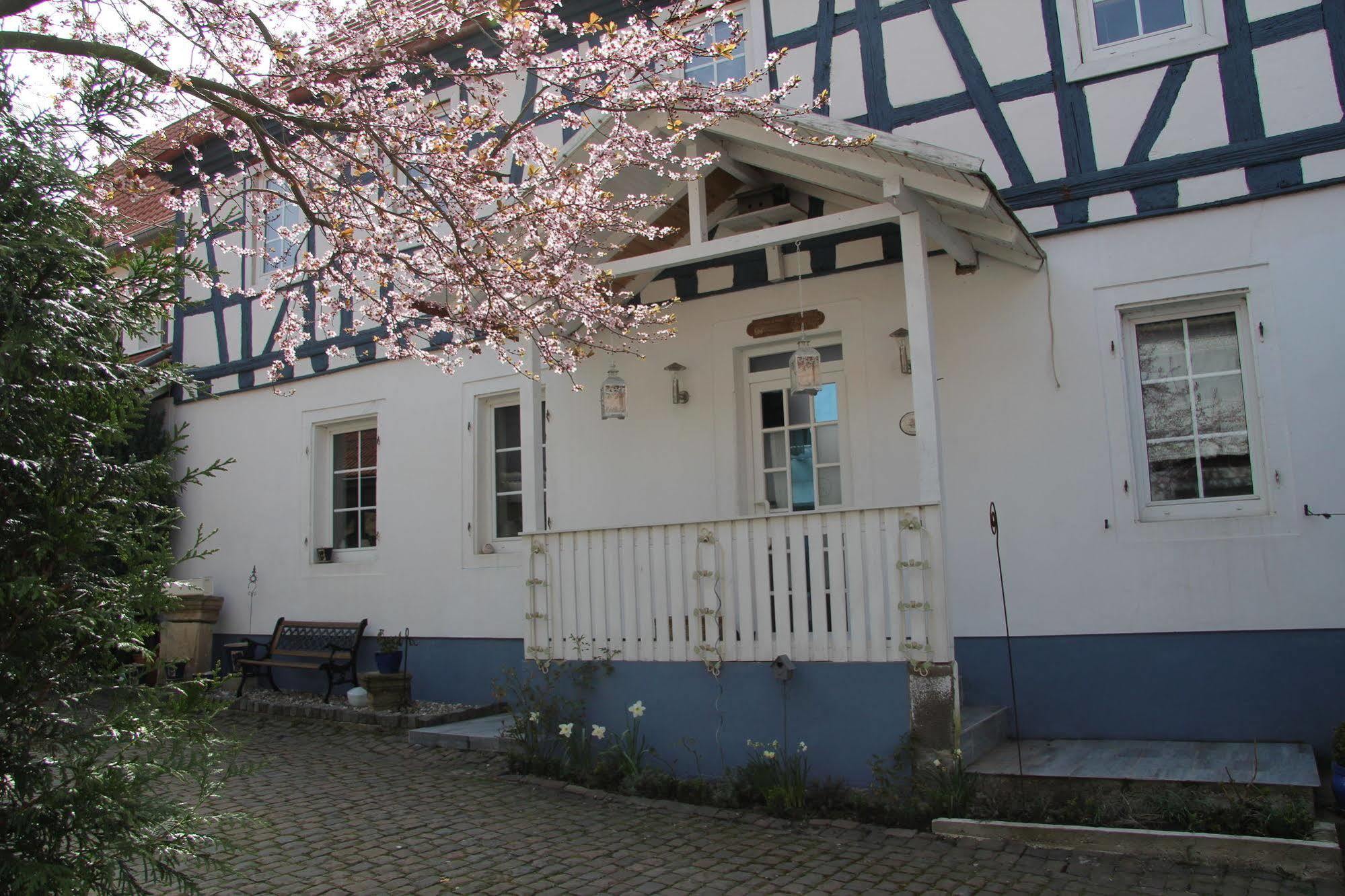 No.31 B&B Im Rosengarten Kapellen-Drusweiler Exteriör bild