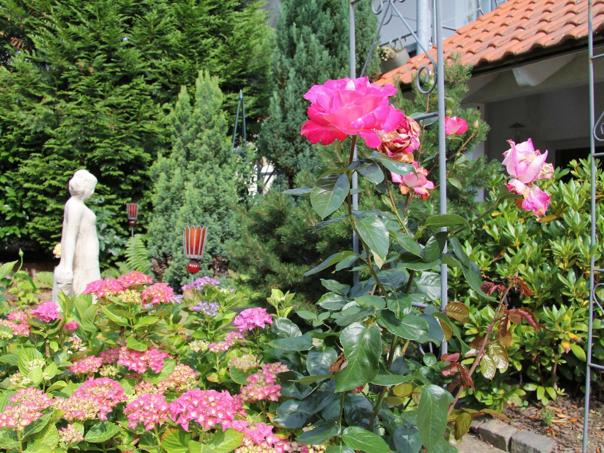 No.31 B&B Im Rosengarten Kapellen-Drusweiler Exteriör bild